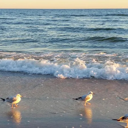 In With Sauna בית נופש Jezierzany