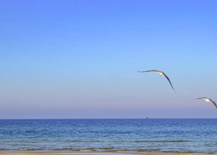 In With Sauna Сasa de vacaciones