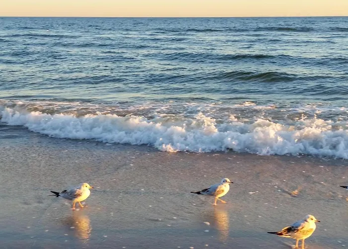 In With Sauna Сasa de vacaciones Jezierzany